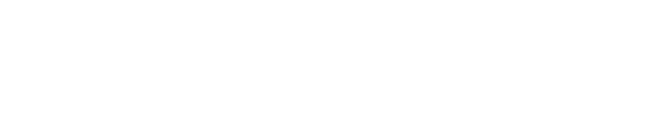 DS_Ltd_Logo_White_RGB